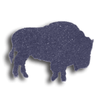 Buffalo